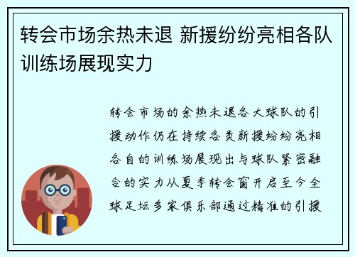 转会市场余热未退 新援纷纷亮相各队训练场展现实力