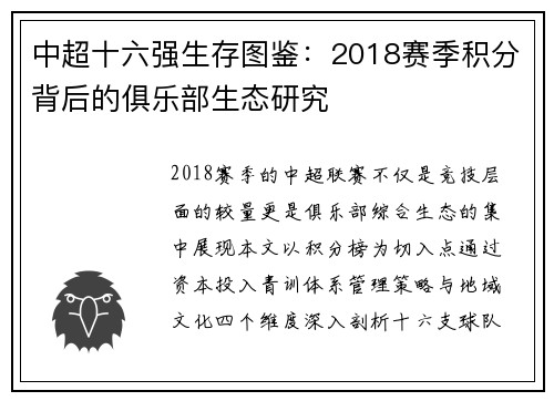中超十六强生存图鉴：2018赛季积分背后的俱乐部生态研究
